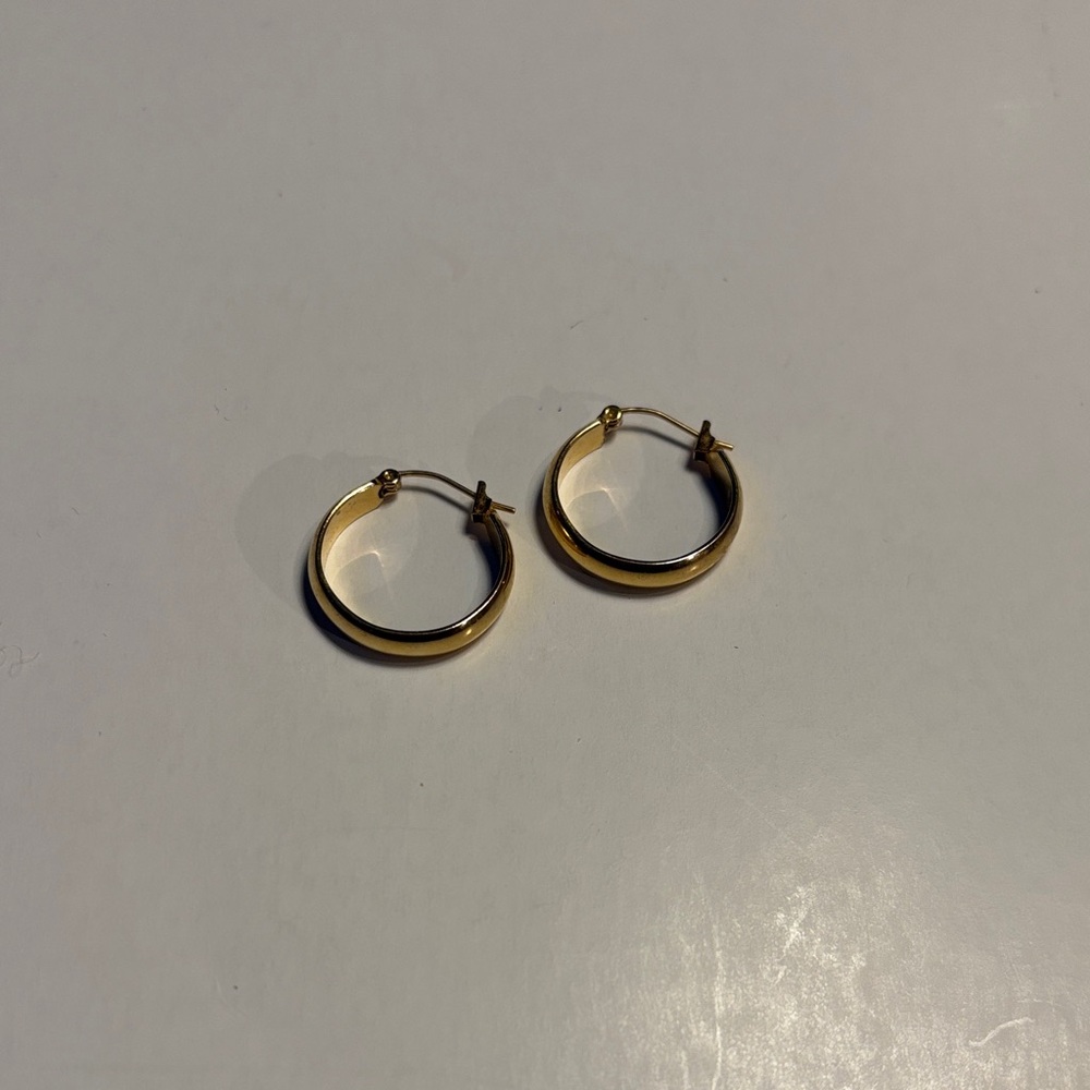 Chic Gold Hoop Earrings